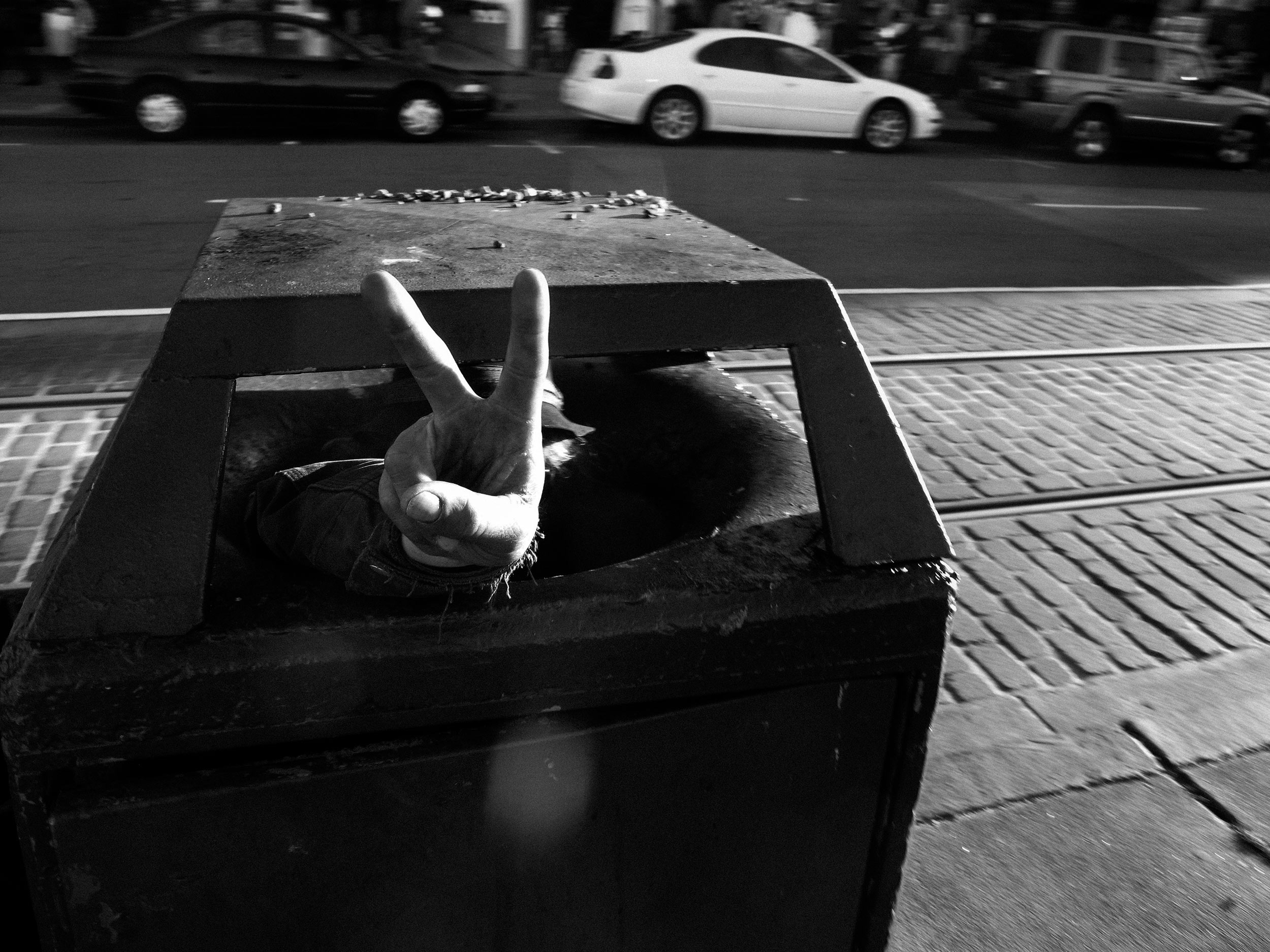 SF_PeaceWeb